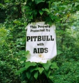 pitbull_sign.jpg